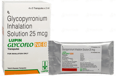 Glycoflo Neb 2Ml Pack Of 5 Transpules Glycoflo Neb 2Ml Pack Of 5 Transpules